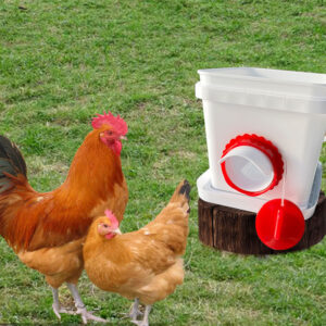 Poultry drinking cup